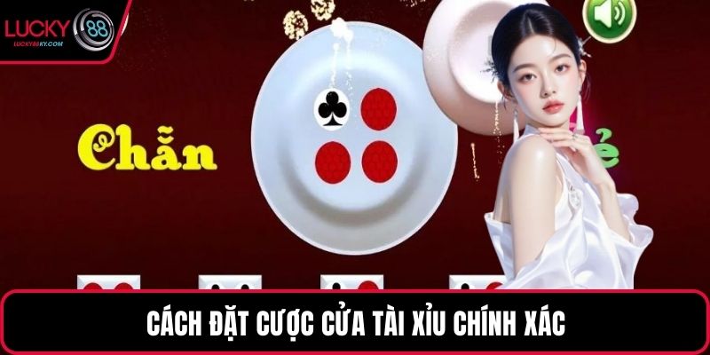 Cách đặt cược cửa tài xỉu chính xác