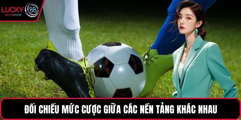 Đối chiếu mức cược giữa các nền tảng khác nhau